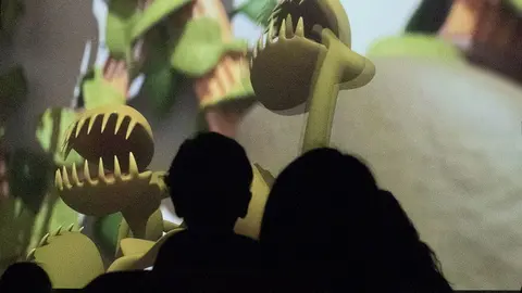 Os días 23, 24, 30 e 31 de xaneiro proxectaranse curtametraxes premiadas en certames internacionais de prestixio.