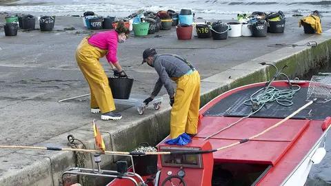 inicio da campaña marisqueira en noia