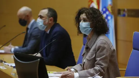 El subcomit&eacute; cl&iacute;nico que hace seguimiento de la evoluci&oacute;n de la covid-19 en Galicia.