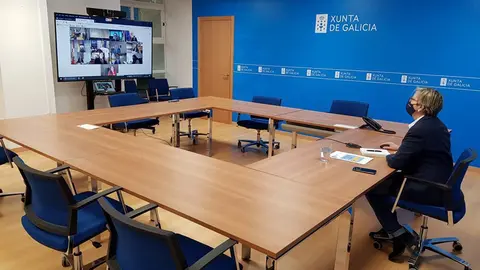 A conselleira do Mar, Rosa Quintana, participou por videoconferencia no Consello Consultivo de Política Pesqueira para Asuntos Comunitarios.