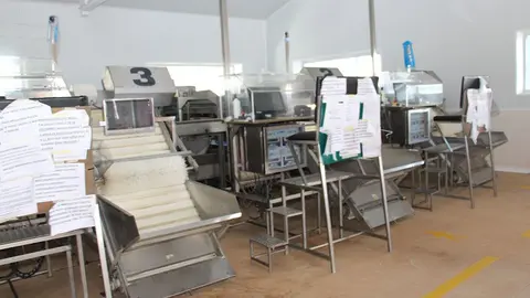 Máquinas que clasifican o berberecho segundo o tamaño na lonxa de Noia. 