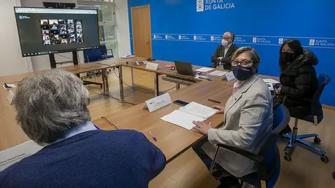 La conselleira del Mar presidió por videoconferencia el Consello Galego de Pesca