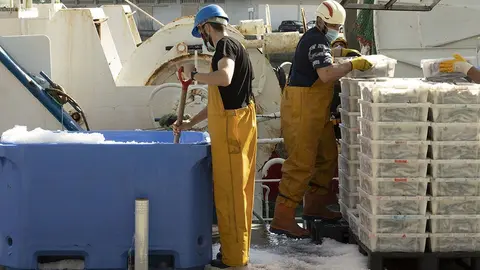 El conjunto de los centros de primera venta de Galicia redujo un 5% las cantidades subastadas de productos pesqueros y algo más de un 10% los ingresos como consecuencia de la bajada registrada en los bivalvos ante la menor actividad del sector marisquero por el cierre de la hostelería, su principal canal de venta.
