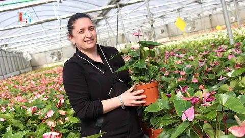 Paula Salgueiro, jefa de producción de Viveros San Campio, con un ejemplar de Anthurium en sus manos. 
