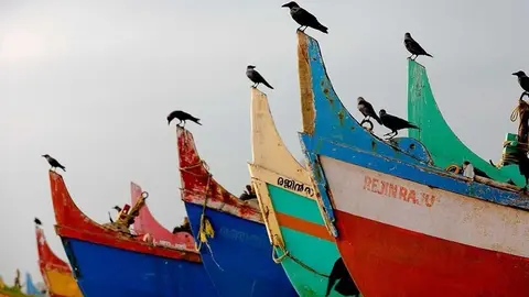 India. JAVIER TENIENTE. 