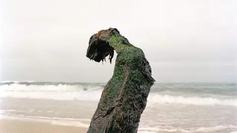 El Museo del Mar de Vigo acoge la exposición Quiebras, una serie fotográfica realizada en un arenal de la Costa da Morte, en la que Manuel Sendón ofrece su visión de los objetos arrastrados por el mar a la costa.