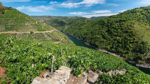Ribeira Sacra, reserva de la Biosfera.
