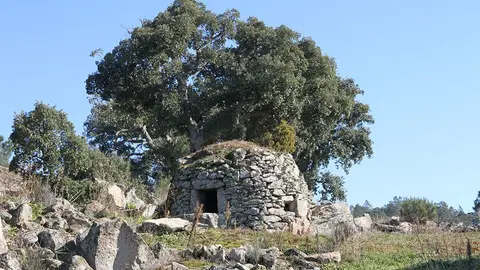 Trilhos Vilarinho e Pinhal.