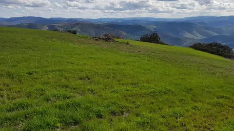  Os labores nos pasteiros prevén desenvolverse nun total de 2.250 hectáreas cun investimento global de 9,5 millóns de euros no conxunto de Galicia.