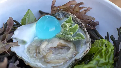 Albariño, ostras, anguilas y almejas en el castillo de Soutomaior.