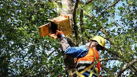 A acción forma parte do proxecto CON_CIENCIA_TEA para a posta en valor da ribeira do río.