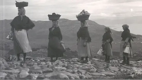 Fotografía de portada del libro. 