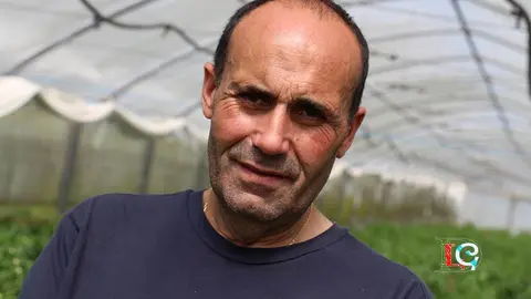 José Manuel Ferro en uno de los invernaderos familiares de Pementos Carmucha, en Herbón, Padrón. 