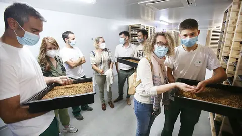 Hai que “buscar alternativas sostibles para unha alimentación saudábel e respectuosa co medio ambiente. E decidimos mergullarnos nun mercado que se en Europa é moi incipiente, en España aínda o é máis”, explica Pablo Domínguez, un dos fundadores.