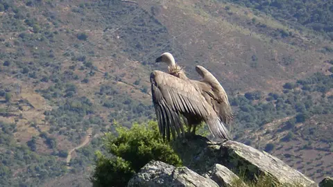 Parque Natural do Douro Internacional.