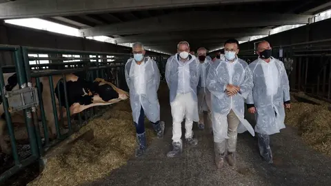 El conselleiro del Medio Rural visitó hoy Xenética Fontao y celebró el próximo inicio, por parte de esta empresa pública, de la producción en exclusiva de semen sexado para toda España.