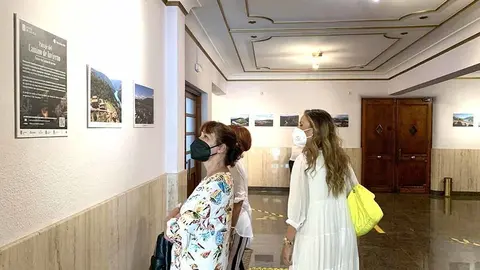 Numerosos asistentes se dieron cita en la sala de cine del Centro Cultural Avenida,
donde el fotógrafo Adolfo Enríquez presentó una publicación llamada a promocionar
el Camino de Invierno.