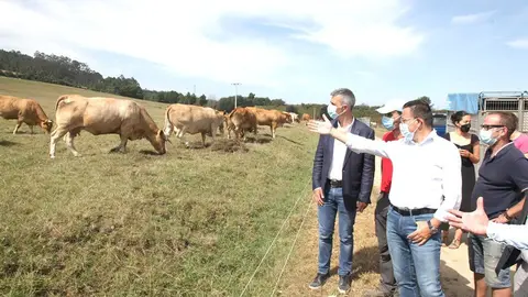 El conselleiro del Medio Rural visitó este domingo el mercado de Ribadeo y una explotación de vacuno de carne.