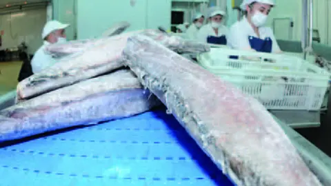 Congelados Sariego Asentada desde hace casi 30 años en el polígono de Rábade, ARCHIVO.