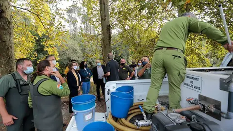 En total, ao longo de todo o proxecto liberáronse máis de 100.000 xuvenís de salmón e 1.600 quilos de anguías no tramo internacional do río Miño.