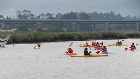 O Município de Viana do Castelo, que organiza, trata dos transportes, assegura financeiramente o projecto, as escolas que elaboram os horários e dotam os professores e alunos que vão participar nas aulas e os clubes, neste caso a DKC de Viana, que fornece os meios técnicos como professores e treinadores e materiais.  