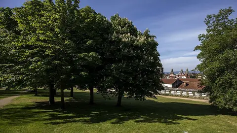 Parque de Bonaval, en Santiago de Compostela. 