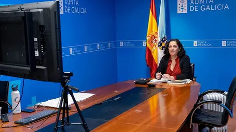 La directora xeral de Patrimonio Natural, Belén do Campo, participó por videoconferencia en la reunión de la Comisión estatal de patrimonio natural e da biodiversidade.

foto xoán crespo
22/11/2021