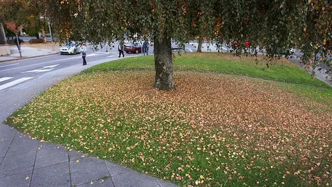 El avance del último informe de Meteogalicia concluye que la temperatura media en las estaciones gallegas más representativas se situó 1,1º por debajo de lo esperado.