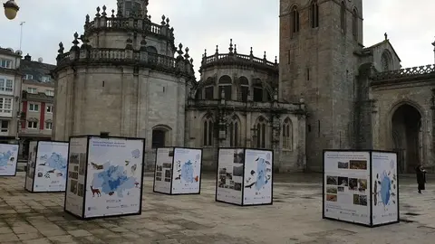 La ciudad de As Burgas recoge el testigo de Lugo, donde arrancó esta muestra que conmemora el 50 aniversario de la creación del programa Home y la Biosfera (MaB).