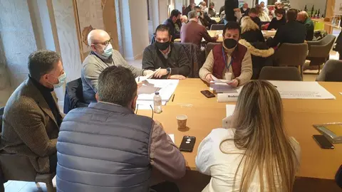 Desde que en septiembre pasado arrancara el proceso participativo de elaboración de la Estrategia con una reunión con todos los agentes implicados, tuvieron lugar varios encuentros de trabajo que se seguirán produciendo para analizar y redactar medidas.