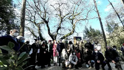 A conselleira de Medio Ambiente, Territorio e Vivenda participou na presentación da campaña de apoio do exemplar como Árbore Europea do Ano 2022.