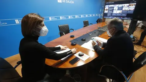 La conselleira de Medio Ambiente, Territorio participó telematicamente en la Conferencia sectorial de vivienda y suelo.
