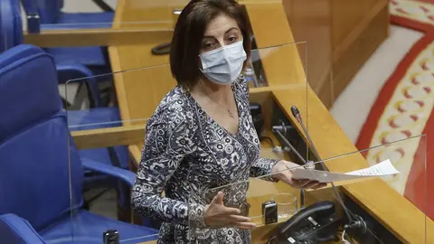 A conselleira de Medio Ambiente, Territorio e Vivenda respondeu no Pleno do Parlamento as preguntas dos grupos.