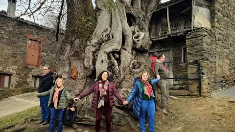 La directora general de Patrimonio Natural y la alcaldesa se acercaron esta mañana hasta la Castiñeira de Ramil, un ejemplar con más de ocho siglos localizado en el Camino Francés.