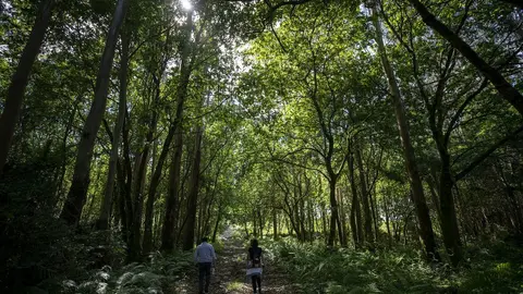 Escola de capacitacion agraria de Sergude. ARCHIVO.
