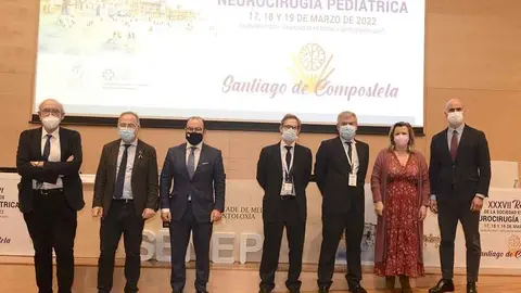 Especialistas médicos reunidos en Santiago.