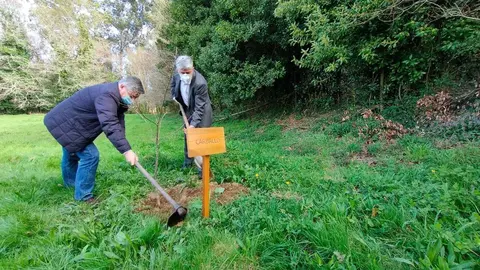 El director general de Planificación y Ordenación Forestal inauguró la Semana forestal con una plantación en Ordes, tras realizar un tramo del Camino Inglés.