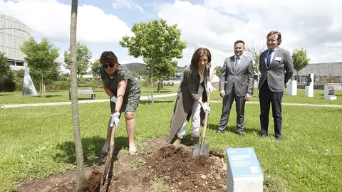A conselleira de Medio Ambiente, Territorio e Vivenda e o conselleiro do Medio Rural participaron esta tarde na plantación dun castiñeiro no monte Gaiás.