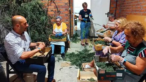 O alcalde porriñés, Alejandro Lorenzo, coma un alformbrista máis.