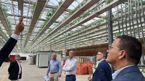 El conselleiro de Medio Rural conoció en Portugal los viveros del Furadouro, del grupo empresarial Altri, que producen anualmente unos siete millones de plantas forestales.