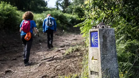 Camino Ingles peregrinos bastón señalización. TEE TRAVEL.