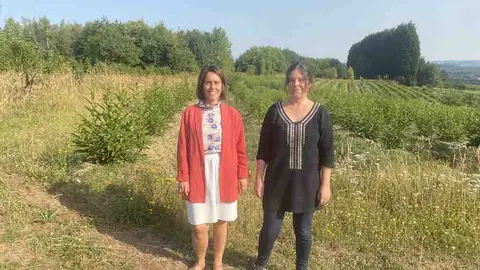 La directora de la Agencia Gallega de Innovación, Patricia Argerey, visitó esta mañana la empresa fradense Boibel Forestal.