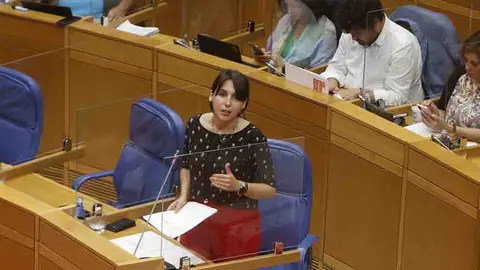 La conselleira de Promoción del Empleo e Igualdad, María Jesús Lorenzana, destacó hoy en el Parlamento de Galicia que lOs jóvenes son un colectivo prioritario en las políticas activas de empleo de la Xunta.