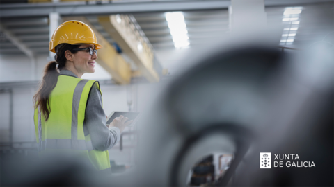 Apoiarase a creación de fábricas compartidas e espazos industriais especializados.