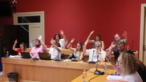 ordenanza-reguladora-vaos-ponteareas