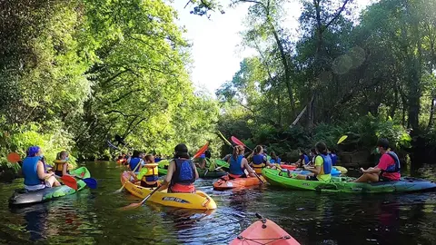 mocidade-viva-sendeiac-2022