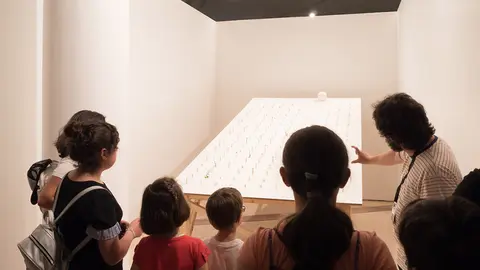 Trátase dunha actividade pensada para fomentar os valores de solidariedade, igualdade e corresponsabilidade a través da arte, a maxia, a música e o deporte.