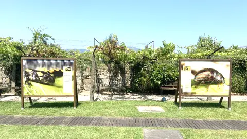 Exposição 'O Parque em Macro' até 31 de outubro.