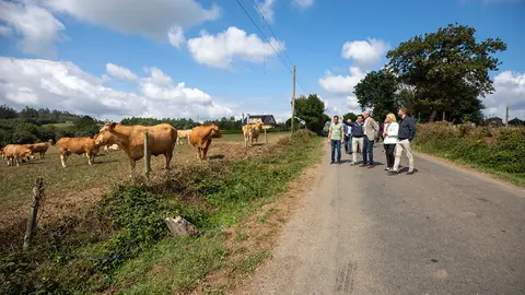 Rueda subraya que gracias a un acuerdo con las entidades financieras los productores podrán recibir estas cuantías de inmediato, hasta el 15 de septiembre.