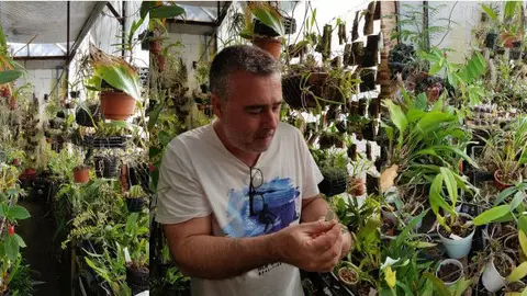 Rubén Velázquez en su Orquidiario de Flora del Trópico.